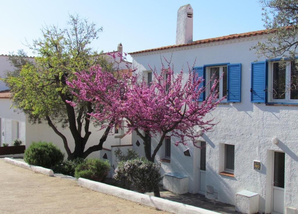 Aparthotel Carpe Diem Cadaqués Pokój zdjęcie